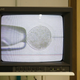 The monitor shows the inseminating of eggs from the last two remaining female of northern white rhinos with frozen sperm at the Avantea laboratory in Cremona, Italy, on August 25, 2019.
